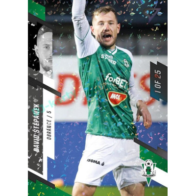 2023/24 Sportzoo Fortuna Liga 2. série #338 David Štěpánek Black Camouflage 1of25