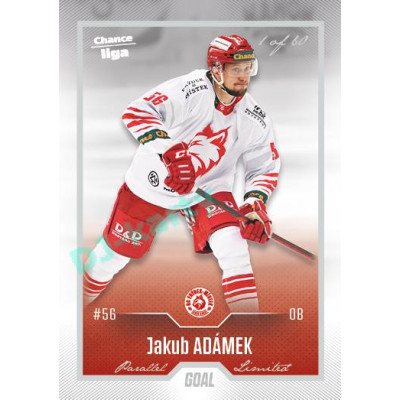 2022/23 Goal Cards Chance Liga 1. série #134 Jakub Adámek Silver 1 of 60
