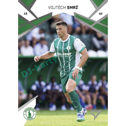 2024/25 Sportzoo Chance Liga 1. série #153 Vojtěch Smrž