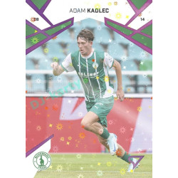2024/25 Sportzoo Chance Liga 1. série #147 Adam Kadlec Cosmic Pink