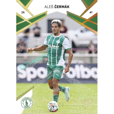 2024/25 Sportzoo Chance Liga 1. série #149 Aleš Čermák Gold Glitter 05/25
