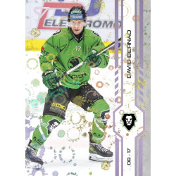 2024/25 Sportzoo ELH 2. serie #350 David Bernad Puck Marks