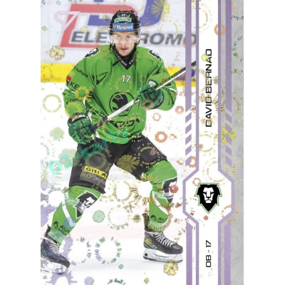 2024/25 Sportzoo ELH 2. serie #350 David Bernad Puck Marks
