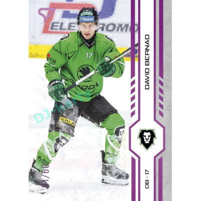 2024/25 Sportzoo ELH 2. serie #350 David Bernad Purple Iceberg xx/60