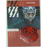 2022 Legendary Cards Saves HELP Aleš Stezka
