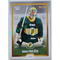 2022/23 Goal Cards Chance Liga Update #413 Adam Pavlíček Gold xx/23