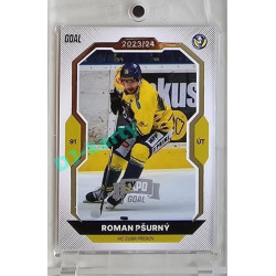 2023/24 Goal cards Chance Liga 2. série #312 Roman Pšurný Expo Silver 1of7