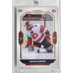 2023/24 Goal cards Chance Liga 1. série #170 David Honzík Gold 1of20