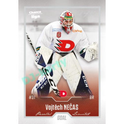 2022/23 Goal Cards Chance Liga 1. série #143 Vojtěch Nečas Silver 1 of 60