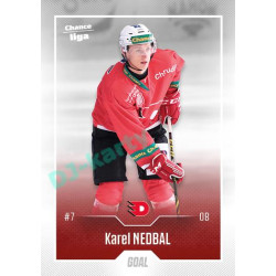 2022/23 Goal Cards Chance Liga 1. série #145 Karel Nedbal