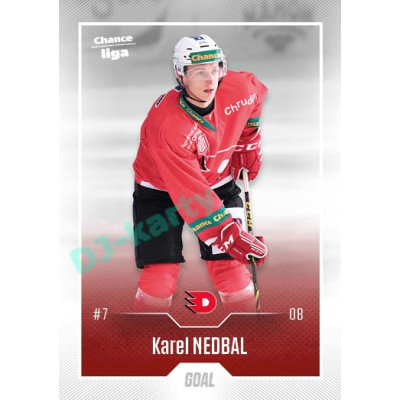 2022/23 Goal Cards Chance Liga 1. série #145 Karel Nedbal