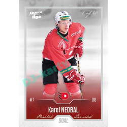 2022/23 Goal Cards Chance Liga 1. série #145 Karel Nedbal Silver 1 of 60