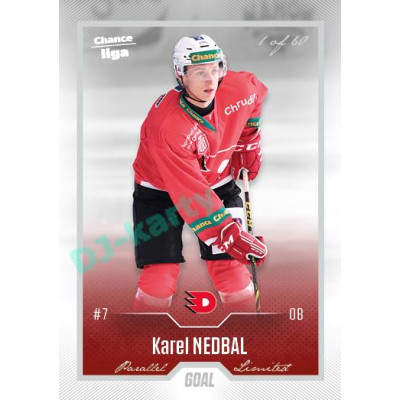 2022/23 Goal Cards Chance Liga 1. série #145 Karel Nedbal Silver 1 of 60