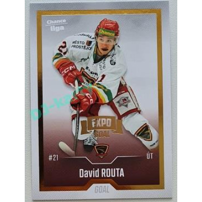 2022/23 Goal Cards Chance Liga 2. série #255 David Routa Expo Gold 1 of 3
