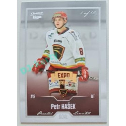 2022/23 Goal Cards Chance Liga 2. série #252 Petr Hašek Expo Silver 1 of 3