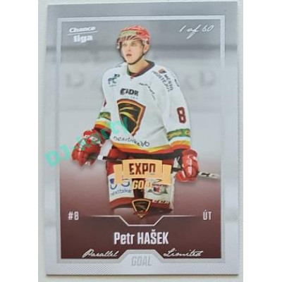 2022/23 Goal Cards Chance Liga 2. série #252 Petr Hašek Expo Silver 1 of 3