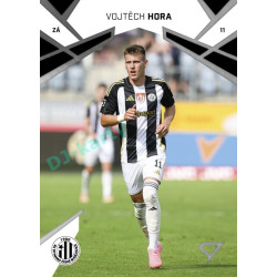 2024/25 Sportzoo Chance Liga 1. série #179 Vojtěch Hora