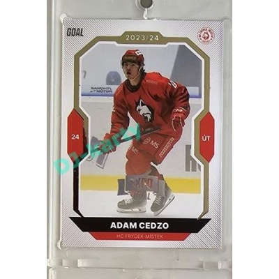 2023/24 Goal cards Chance Liga 2. série #323 Adam Cedzo Expo Silver 1of7