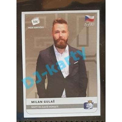 2020 MK Stick Milan Gulaš Šestý ve Zlaté hokejce #06 1 of 10 Silver