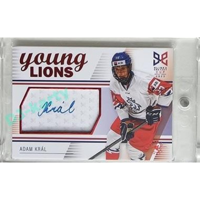 2023/24 Legendary Cards Hlinka Gretzky Cup Young Lions #S-08 Adam Král Autograph Red xx/29