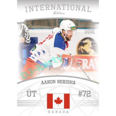 2022/23 Goal Cards Chance Liga 2. série #15 Aaron Berisha International Team