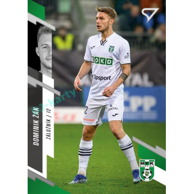 2023/24 Sportzoo Fortuna Liga 2. série #377 Dominik Žák