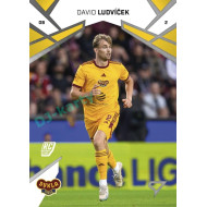 2024/25 Sportzoo Chance Liga 1. série #183 David Ludvíček