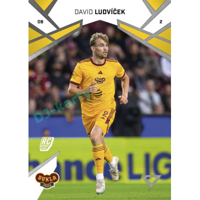 2024/25 Sportzoo Chance Liga 1. série #183 David Ludvíček