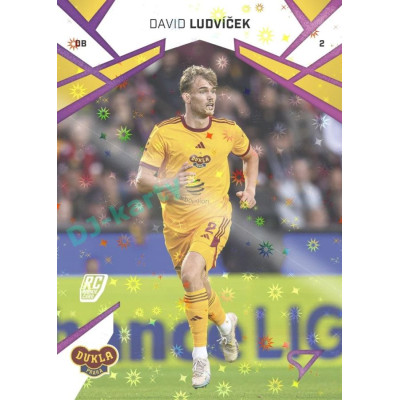 2024/25 Sportzoo Chance Liga 1. série #183 David Ludvíček Cosmic Pink