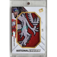 2023 MK reprezentace #NE-06 David Němeček National Emblem 9/9