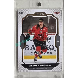 2023/24 Goal cards Chance Liga 1. série #196 Anton Karlsson Gold 1of20