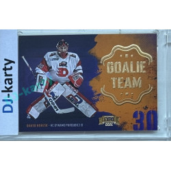 2024/25 Goal Cards Maxa liga 1. série #GT-11 David Honzík Goalie Team Expo Gold 1of3