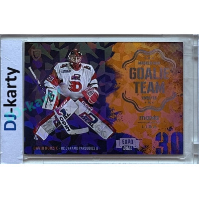 2024/25 Goal Cards Maxa liga 1. série #GT-11 David Honzík Goalie Team Parallel Expo Silver 1of4
