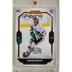 2023/24 Goal cards Chance Liga 2. série #347 Jakub Šedivý Expo Silver 1of7