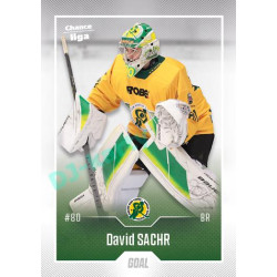 2022/23 Goal Cards Chance Liga 1. série #017 David Sachr