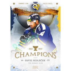 2023 Goal Cards Zlín Champions #17 Pavel Sedláček