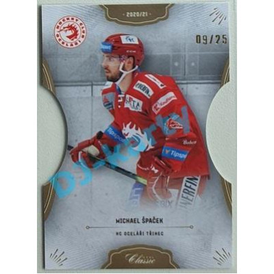 2020/21 OFS 2. série Michael Špaček #298 09/25 Hobby Cut