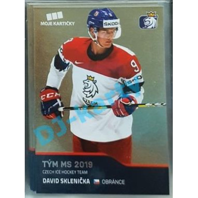 2020 MK reprezentace David Sklenička Tým MS 2019 #51 Gold Promo