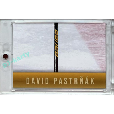 2024 LC Golden Prague Belongs to us #DP-08 David Pastrňák JIGSAW Puzzle