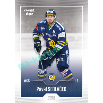 2022/23 Goal Cards Chance Liga 1. série #199 Pavel Sedláček