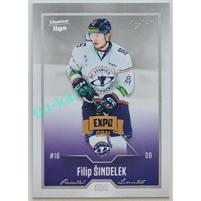 2022/23 Goal Cards Chance Liga 2. série #263 Filip Šindelek Expo Silver 1 of 3