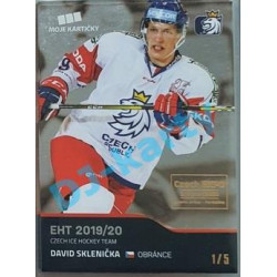 2020 MK reprezentace David Sklenička #34 1/5 Silver Czech Expo