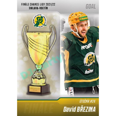2022/23 Goal Cards Chance Liga 1. série #V-19 David Březina Finále 2022
