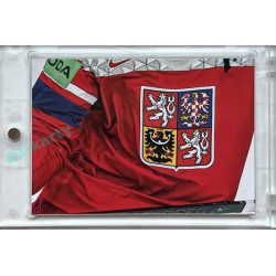 2024 LC Golden Prague Belongs to us #RG-05 Radko Gudas JIGSAW Puzzle
