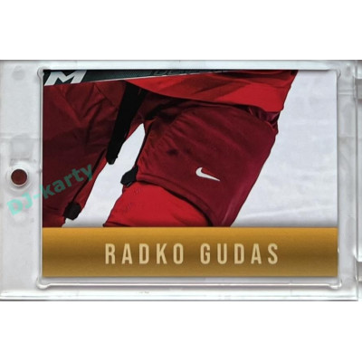 2024 LC Golden Prague Belongs to us #RG-08 Radko Gudas JIGSAW Puzzle