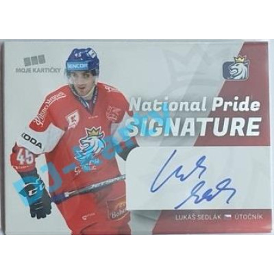 2020 MK reprezentace Lukáš Sedlák #NPS-LS 06/30 National Pride Signatures