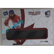 2021 MK reprezentace David Musil #14 Game used memorabilia PROMO