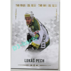 2018 You Want the Best Lukáš Pech #63 40/77