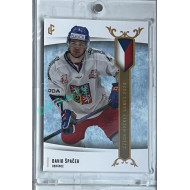 2024 LC Golden Prague Belongs to us #EHC-03 David Špaček Czech Hockey Games 2024