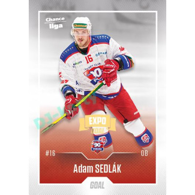 2022/23 Goal Cards Chance Liga 1. série #159 Adam Sedlák Expo Ostrava GOLD 1of2